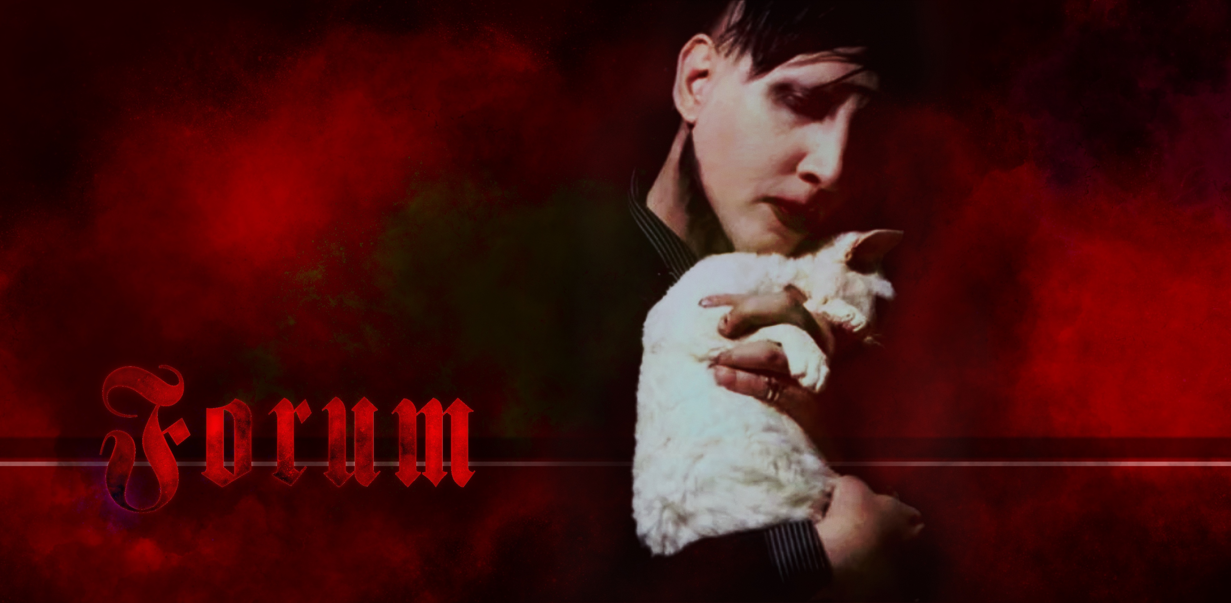 Forum Banner